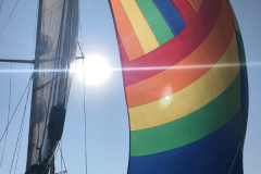Spinnaker segeln!
